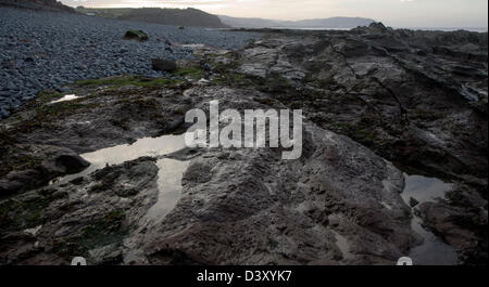 Felsigen Welle schneiden Plattform ausgesetzt bei Ebbe, Watchet, Somerset, England Stockfoto