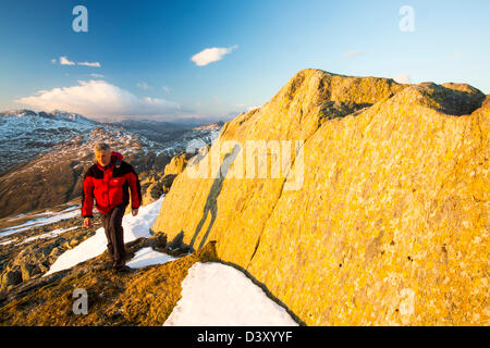 Eine Walker übergibt Flechten bedeckt Felsen große Erlenbrüche über Wrynose im Lake District, Cumbria, UK, Stockfoto