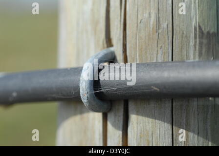 Woodstaple und Elektrozaun Draht. Stockfoto