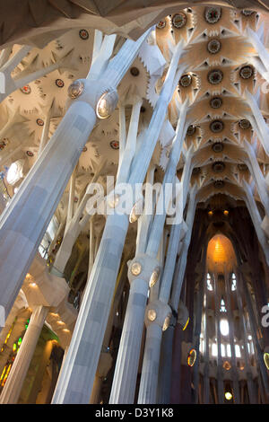 Innenraum der Kathedrale Sagrada Familia in Barcelona, Spanien, Europa Stockfoto
