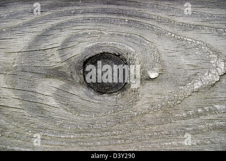 Graue Farbe Knoten Holz Hintergrund Stockfoto
