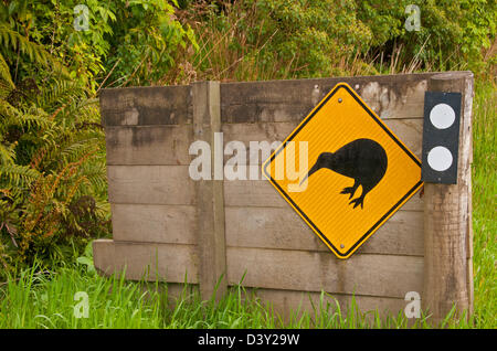 Kiwi Kreuzung Zeichen Invercargill, Neuseeland Stockfoto