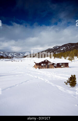 Blockhaus im Schnee in der Nähe von Madison Station, Yellowstone-Nationalpark, Wyoming, Vereinigte Staaten von Amerika Stockfoto