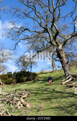 Offa es Dyke Path Walker alten Steinbruch in der Nähe von Montgomery Powys Wales UK Stockfoto