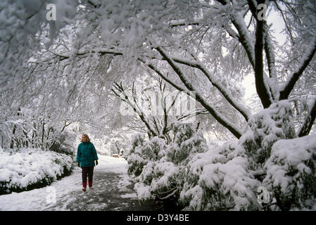 Vancouver, BC, Britisch-Kolumbien, Kanada - Frau im Schnee zu Fuß auf einem Pfad unter schneebedeckten Bäumen, Queen Elizabeth Park, Winter Stockfoto