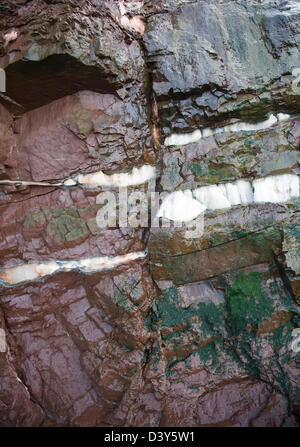 Fehlgeschlagenes mit Adern von Gips im unteren Lias Felsen Watchet, Somerset, England Stockfoto