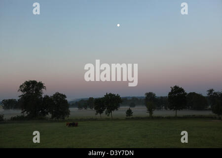 Görlsdorf, Deutschland, Landschaft in der Abenddämmerung im Mondschein Stockfoto