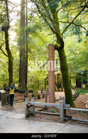 EINGANG ZUM GROßEN BECKEN REDWOODS STATE PARK Stockfoto