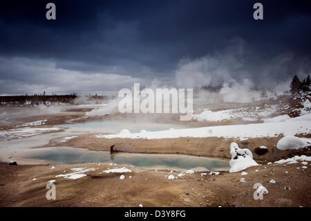 Norris Geyser Basin, Yellowstone-Nationalpark, Wyoming, Vereinigte Staaten von Amerika Stockfoto