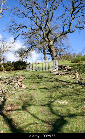 Offa es Dyke Path alten Steinbruch in der Nähe von Montgomery Powys Wales UK Stockfoto