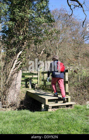 Offa es Dyke Path Brücke und Zauntritt Montgomery (Powys Wales UK in der Nähe) Stockfoto