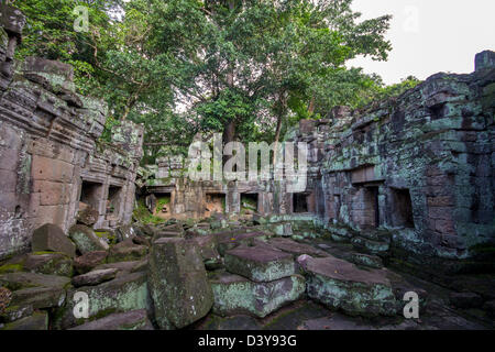 Angkor Tempel Preah Kahn Stockfoto