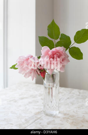 Zwei weitläufige Rosen in einer Glasvase von einem Fenster Stockfoto