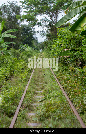 Bamboo Train, Battambang, Kambodscha Stockfoto