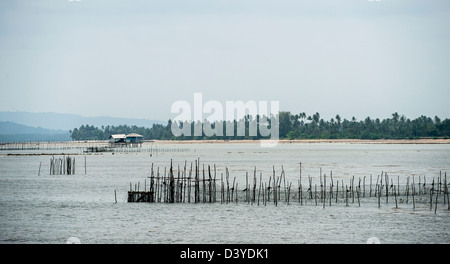 [BINTAN ISLAND, Indonesien: Gesamtansicht des Riffs am ersten Tag der 1. KTA-Bintan Argo Beach Resort am 21. Februar 2013 Stockfoto