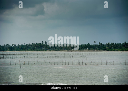 [BINTAN ISLAND, Indonesien: Gesamtansicht der Argo-Beach-Resort am 21. Februar 2013 Stockfoto