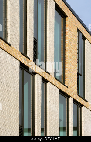 Thomas Tallis Schule, Greenwich, Großbritannien. Architekt: John McAslan & Partner, 2012. Detail der Fassade mit unterschiedlichen Ziegel und Stockfoto