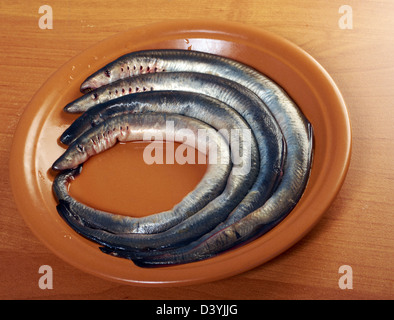 Frischer Fisch Neunaugen auf Platte. Closeup Stockfoto