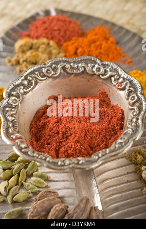 Rot-indische Gewürze, Tandoori Masala. Stockfoto