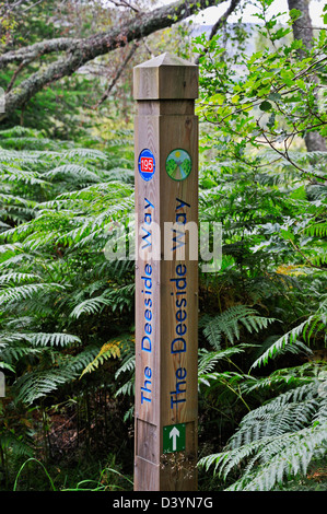 Wegweiser-Post. Der Deeside Weg. Cambus o'May, Aberdeenshire, Schottland, Vereinigtes Königreich, Europa. Stockfoto