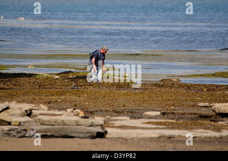 Ein Blick auf Broadledge Lyme Regis mit einem Rock Pool Schnitzeljagd Stockfoto