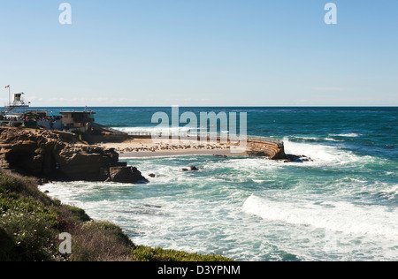 Die Pazifik-Küste und Waterfront am La Jolla Cove San Diego Kalifornien USA Amerika USA Stockfoto