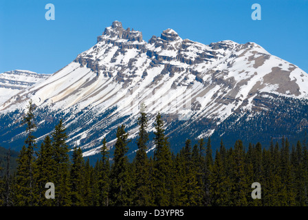 Dolomit-Gipfel wie aus die landschaftlich schöne Strecke Icefields Parkway im Frühjahr zu sehen Stockfoto