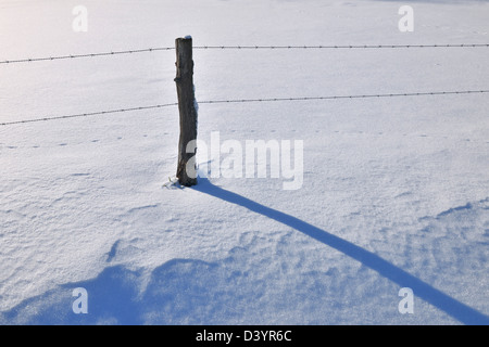 Weide-Zaun im Winter, Wustensachsen, Berge der Rhön, Hessen, Deutschland Stockfoto