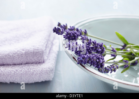 Lavendel Blumen in Schüssel und Handtücher Stockfoto