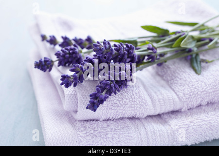 Lavendel Blumen und Handtücher Stockfoto