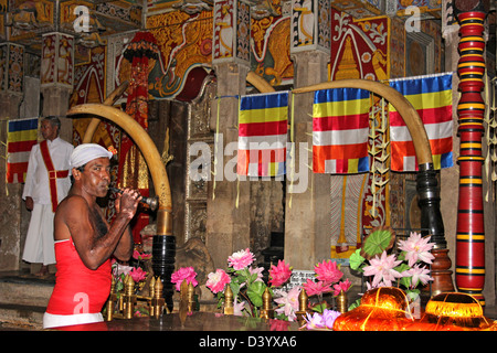 Tempelwächter weht Horanewa Horn im Tempel der heiligen Zahn-Reliquie, Kandy Stockfoto