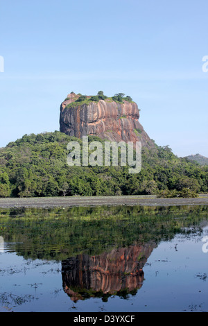 Reflexion von Sigiriya (Lion es Rock) im Tank (Reservoir) Stockfoto