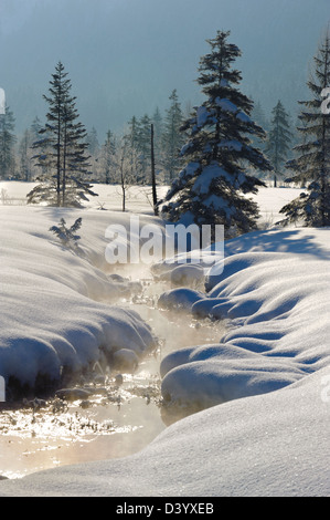 Quelle der kleinen Bach namens Ammer in Bayern; Deutschland; am kalten Wintertag mit viel Schnee Stockfoto