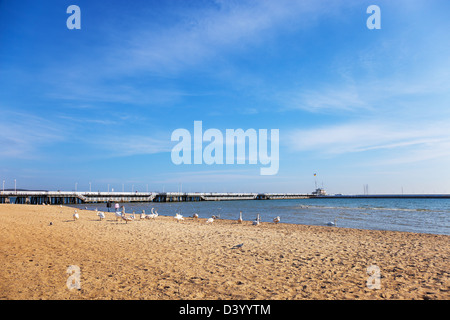 Blick vom Strand an der Pier in Sopot, Polen. Stockfoto