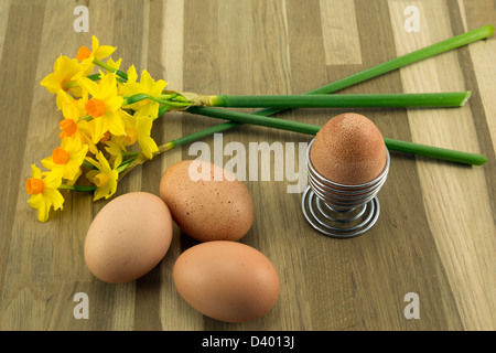Kostenlose reichen Eiern und Frühling Narzissen. Stockfoto