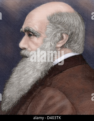 Charles Robert Darwin (1809-1882), britischer Naturforscher. Farbige Gravur. Stockfoto