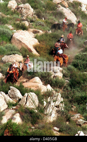 Cowboys reiten bergab nach Roundup und Vieh fahren, Almabtrieb, Roundup, Cowboy, Westküste Roundup, Kuh Poke, Almabtrieb Stockfoto