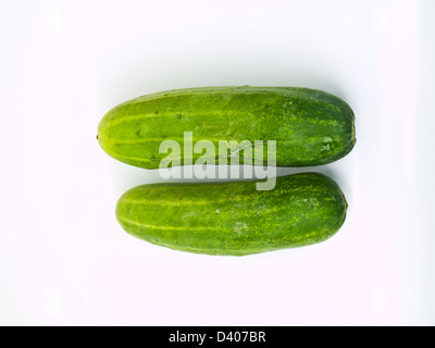 Gurken, die isoliert auf weißem Hintergrund Stockfoto