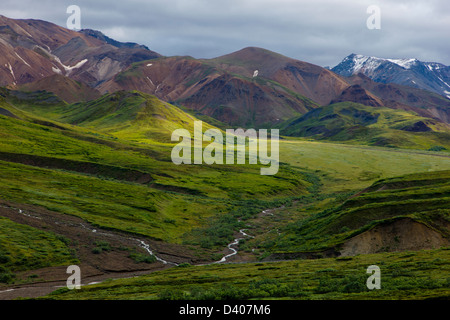 Südlich vom Highway Pass in der Nähe von Stony Hill Overlook, Denali National Park, Alaska, USA anzeigen Stockfoto