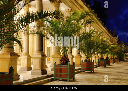 Muehlenkollonade Nacht Karlovy Vary - Karlsbad Mühlenkolonnade Nacht 03 Stockfoto