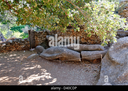 Naxos. Cyclades. Griechenland. Das Kouros von Flerio liegt in einem Garten in der antiken Marmor-Steinbrüche von Melanes Tal verlassen Stockfoto