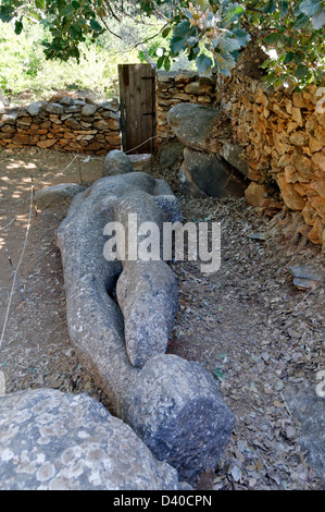 Naxos. Cyclades. Griechenland. Das Kouros von Flerio liegt in einem Garten in der antiken Marmor-Steinbrüche von Melanes Tal verlassen Stockfoto