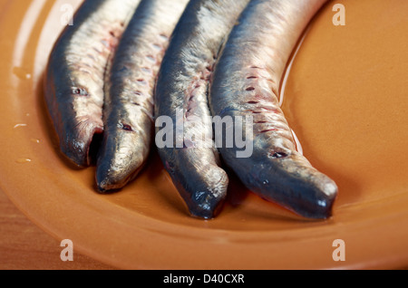 Frischer Fisch Neunaugen auf Platte. Closeup Stockfoto