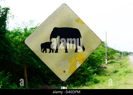 "slow down" Elefanten, die Straße überqueren unterzeichnen in Sri Lanka. Stockfoto