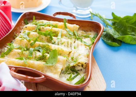 Cannelloni gebacken im Ofen, Nahaufnahme Stockfoto