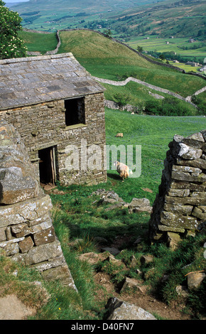 alte steinerne Scheune und Aussicht auf Muker, Swaledale, Yorkshire Dales Stockfoto