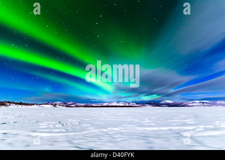 Spektakuläres Feuerwerk von intensiven Nordlicht oder Aurora Borealis über gefrorene Lake Laberge, Yukon Territorium, Kanada Stockfoto