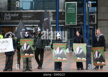 Tier Rechte Demonstranten außerhalb der Union Nationalkonferenz Landwirte protestieren über den Dachs cull Stockfoto