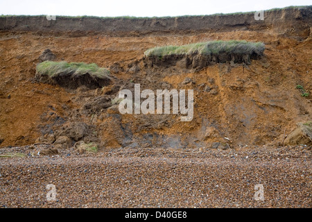 Schnell erodieren Klippe weichen roten Crag Rock im Osten Lane, Bawdsey, Suffolk, England Stockfoto