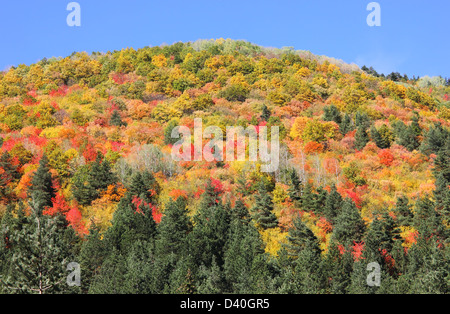 Hängen hoch in den Bergen verkleidet in leuchtenden Farben des größten Künstlers aller ihrer Majestät der Natur. Stockfoto